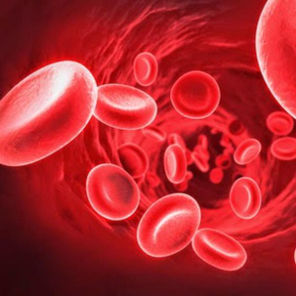 Blood Analysis without Pain for Neonates