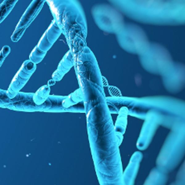 Measuring DNA Absorbance